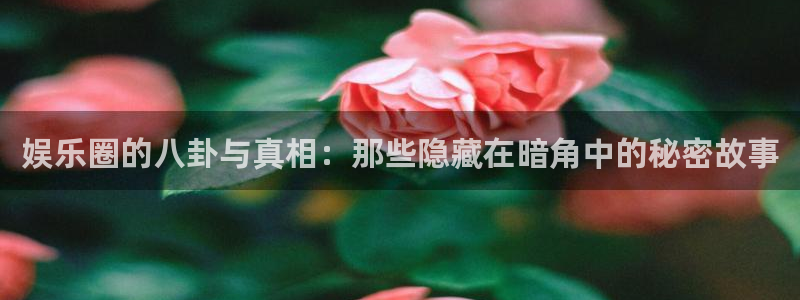 黑料爆料完整时间线