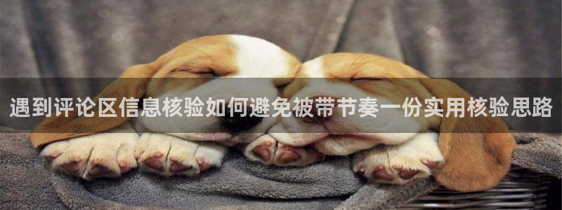 明星黑料完整时间线