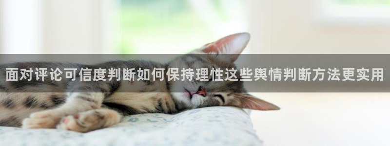 网络黑料真伪核验