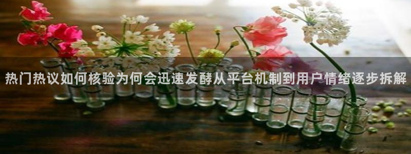 网络黑料当事人回应