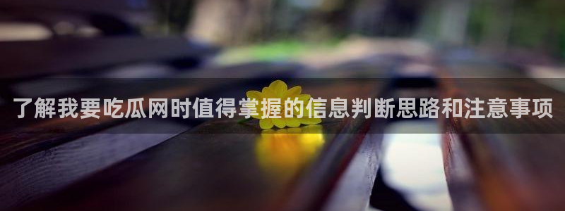 网红黑料