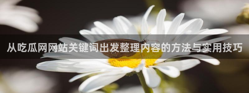 明星黑料证据梳理