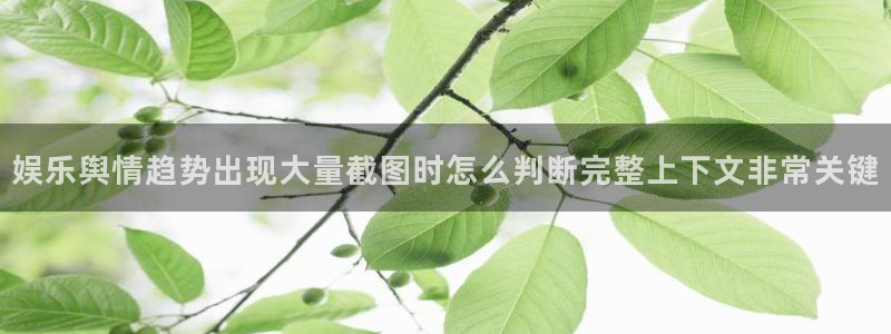 网红黑料原始来源