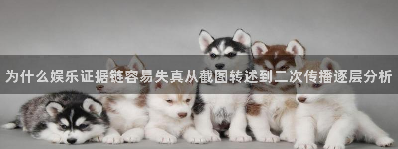 网红黑料证据梳理